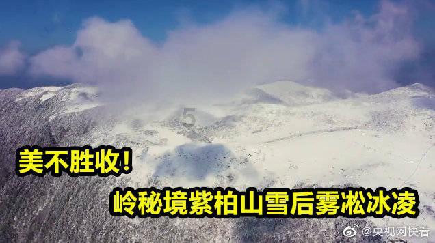 学习软件专业未来发展前景怎么样?-知识星球平台,开启知识分享与交流之旅